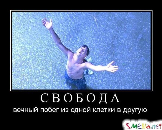 СВОБОДА - вечный побег из одной клетки в другую