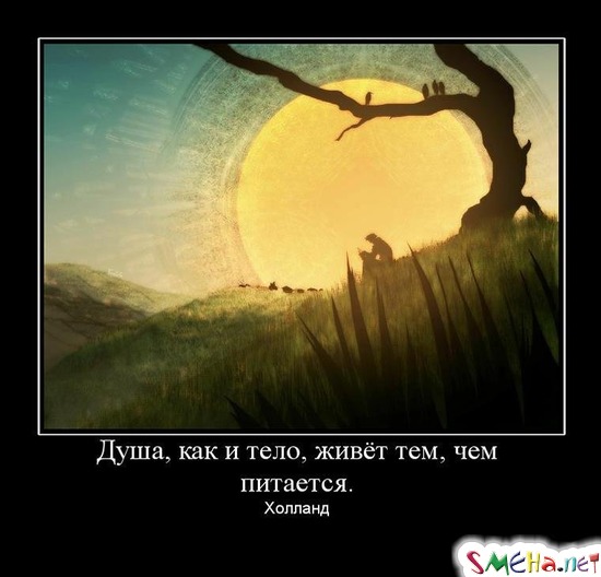 Душа, как и тело, живёт тем, чем питается. - Холланд
