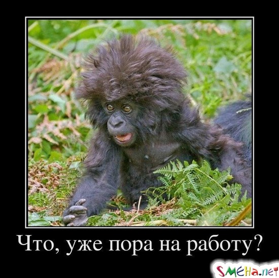 Что, уже пора на работу?