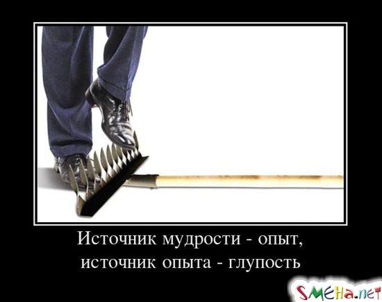 Источник мудрости - опыт, источник опыта - глупость