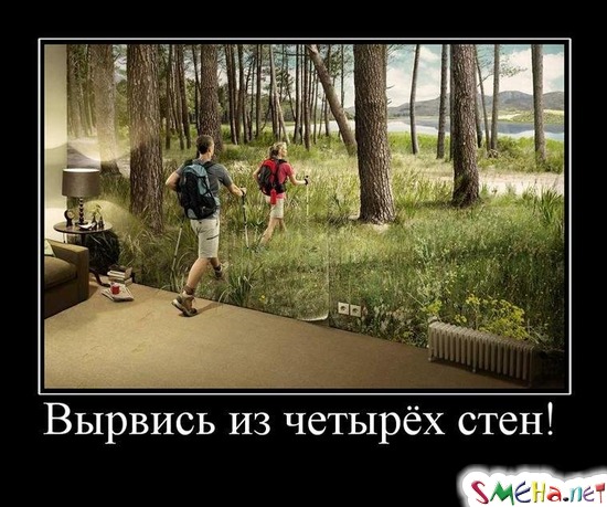 Вырвись из четырёх стен!