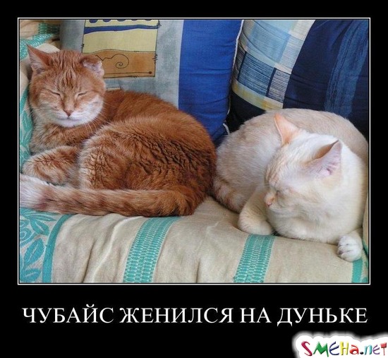ЧУБАЙС ЖЕНИЛСЯ НА ДУНЬКЕ