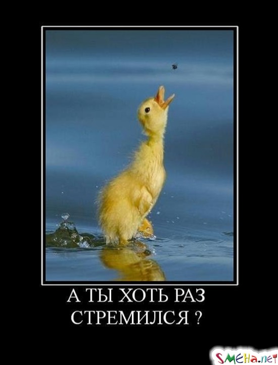 А ТЫ ХОТЬ РАЗ СТРЕМИЛСЯ?