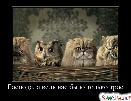 Господа, а ведь нас было только трое
