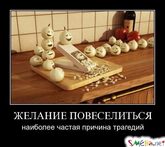 ЖЕЛАНИЕ ПОВЕСЕЛИТЬСЯ - наиболее частая причина трагедий