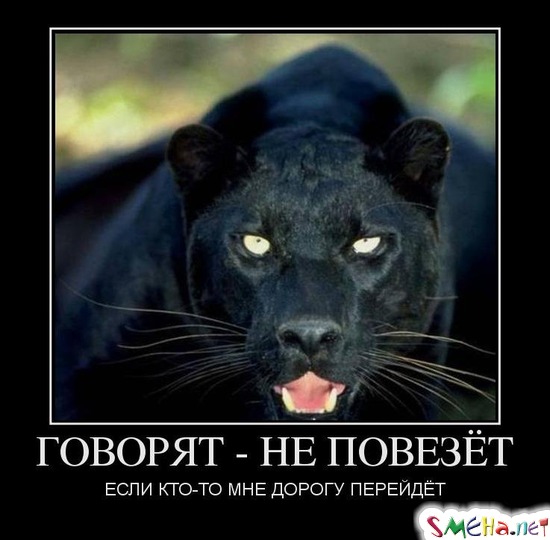 ГОВОРЯТ - НЕ ПОВЕЗЁТ ЕСЛИ КТО-ТО МНЕ ДОРОГУ ПЕРЕЙДЁТ