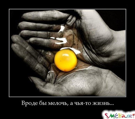 Вроде бы мелочь, а чья-то жизнь...