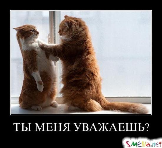 ТЫ МЕНЯ УВАЖАЕШЬ?