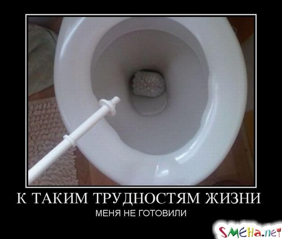 К ТАКИМ ТРУДНОСТЯМ ЖИЗНИ МЕНЯ НЕ ГОТОВИЛИ