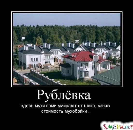 Рублевка - здесь мухи сами умирают от шока, узнав стоимость мухобойки.