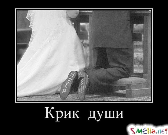 Крик души