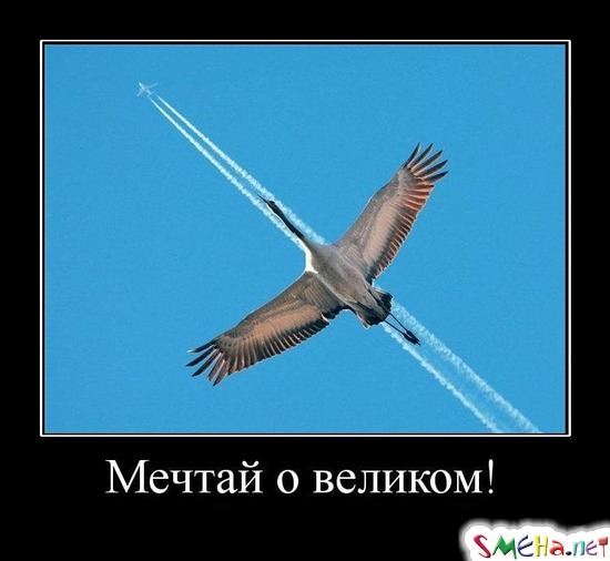 Мечтай о великом!