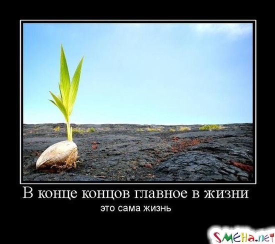 В конце концов главное в жизни - это сама жизнь