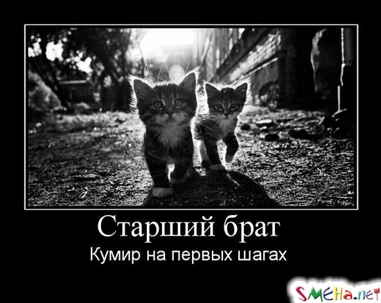 Старший брат - Кумир на первых шагах