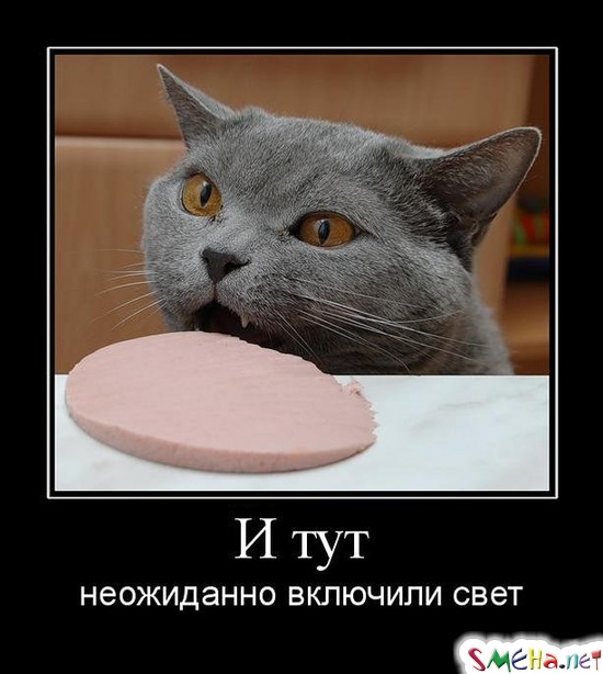 И тут - неожиданно включили свет
