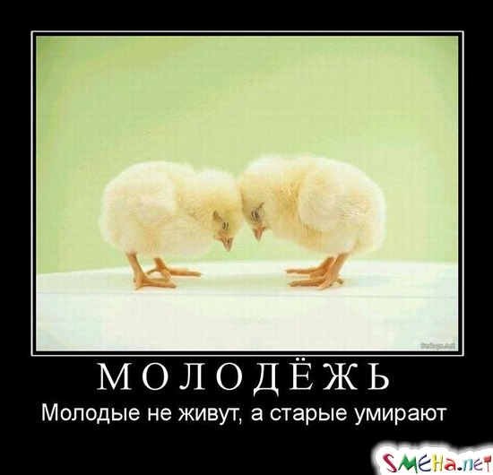 МОЛОДЁЖЬ - Молодые не живут, а старые умирают