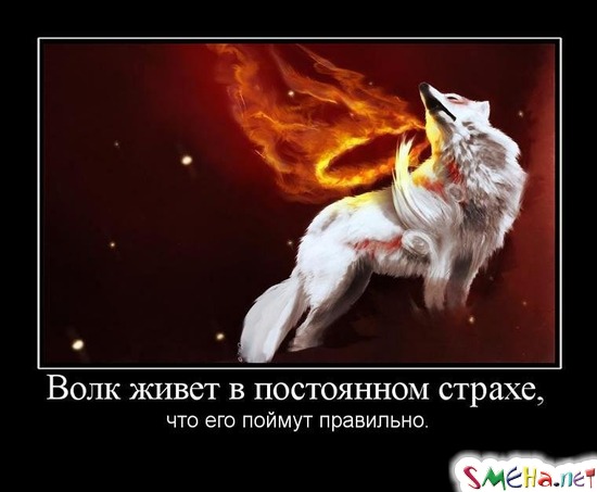 Волк живет в постоянном страхе, - что его поймут правильно.