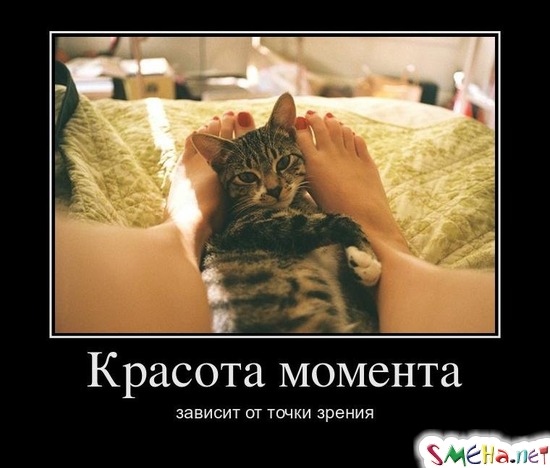 Красота момента зависит от точки зрения