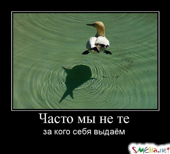 Часто мы не те - за кого себя выдаем