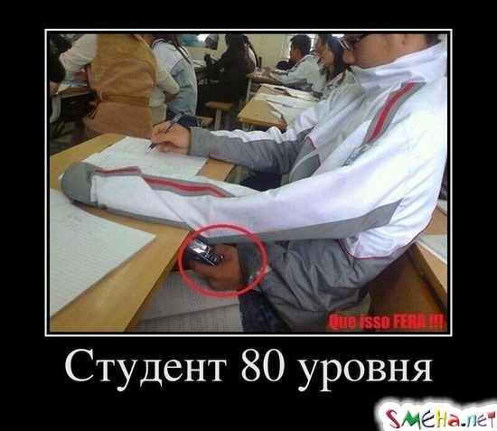 Студент 80 уровня