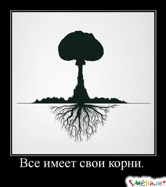 Все имеет свои корни