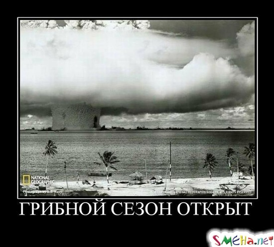 ГРИБНОЙ СЕЗОН ОТКРЫТ