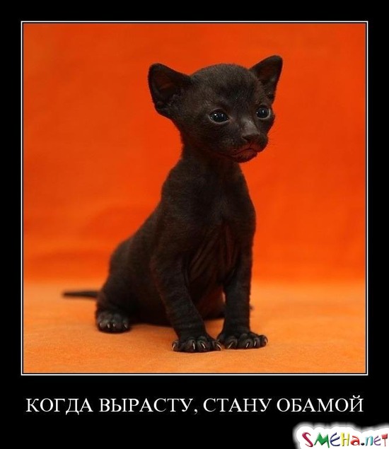 КОГДА ВЫРАСТУ, СТАНУ ОБАМОЙ