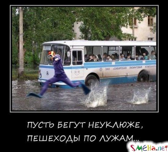 Прикольные демотиваторы