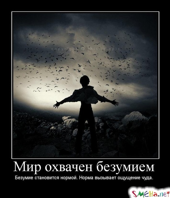 Мир охвачен безумием - Безумие становится нормой. Норма вызывает ощущение чуда.
