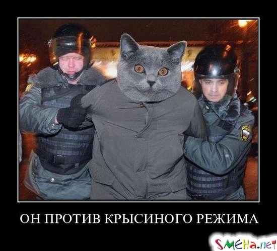 ОН ПРОТИВ КРЫСИНОГО РЕЖИМА