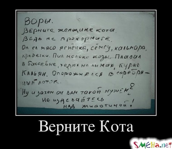 Верните Кота