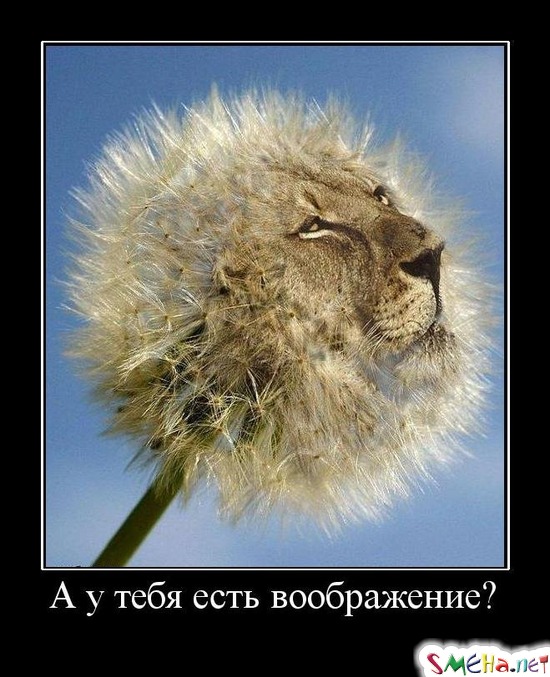 А у тебя есть воображение?