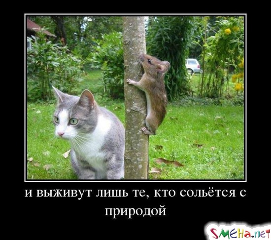 И выживут лишь те, кто сольётся с природой