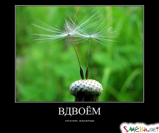 ВДВОЕМ - скучать веселее