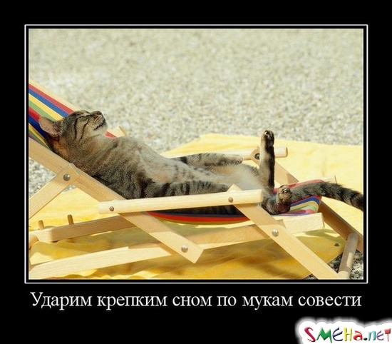 Ударим крепким сном по мукам совести
