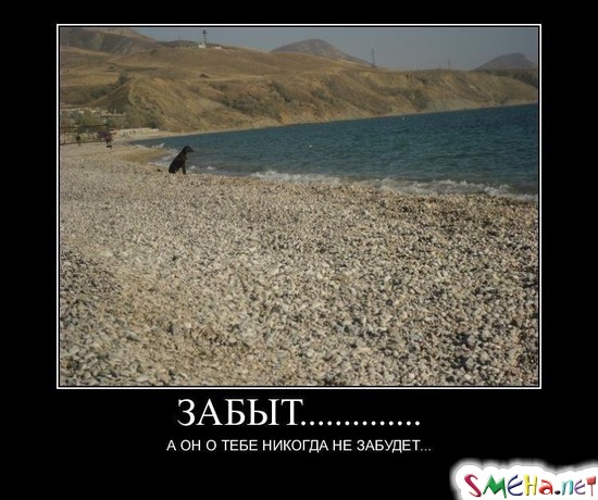 Забыт....... - А он о тебе никогда не забудет..