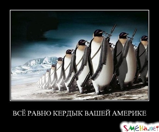 ВСЁ РАВНО КЕРДЫК ВАШЕЙ АМЕРИКЕ