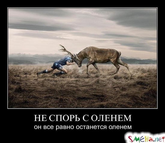 НЕ СПОРЬ С ОЛЕНЕМ - он все равно останется оленем