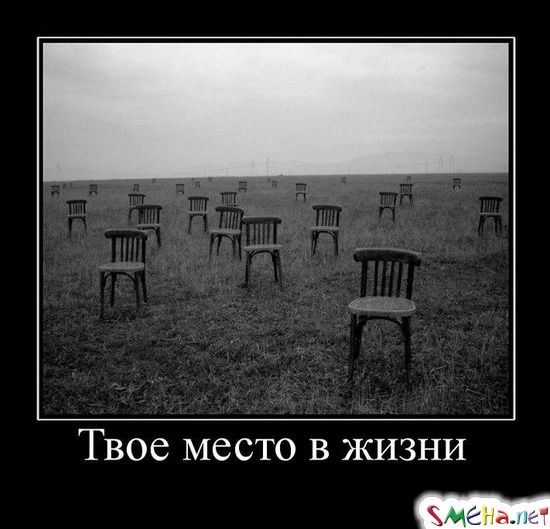 Твое место в жизни