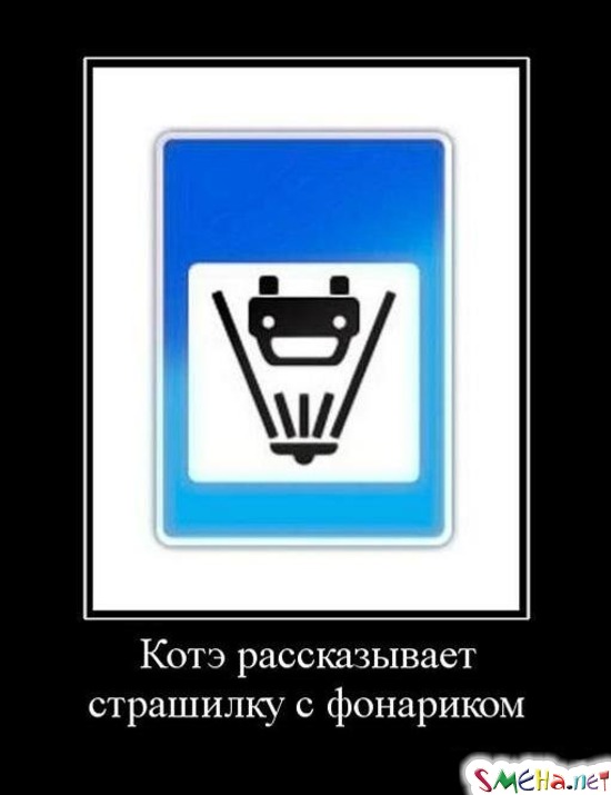 Котэ рассказывает страшилку с фонариком