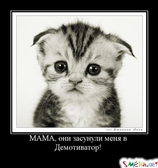 МАМА, они засунули меня в Демотиватор!