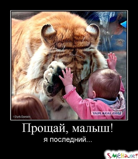 Прощай, малыш! я последний...