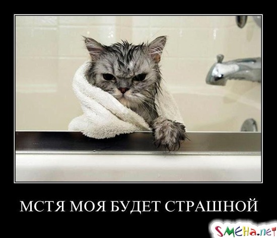 МСТЯ МОЯ БУДЕТ СТРАШНОЙ