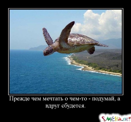 Прежде чем мечтать о чем-то - подумай, а вдруг сбудется.
