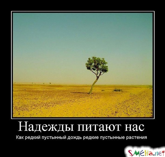 Надежды питают нас - Как редкий пустнынный дождь питает редкие пустынные растения