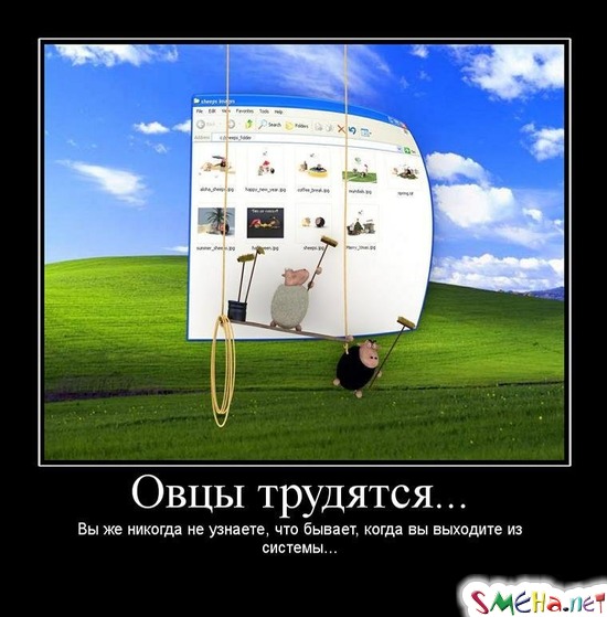 Овцы трудятся... - Вы же никогда не узнаете, что бывает, когда вы выходите из системы...