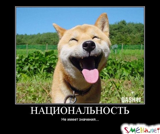 НАЦИОНАЛЬНОСТЬ - Не имеет значения