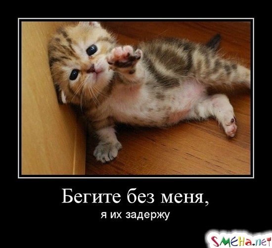 Бегите без меня, я их задержу
