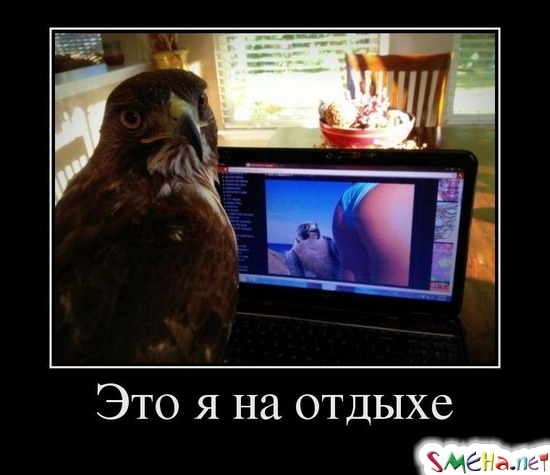Это я на отдыхе