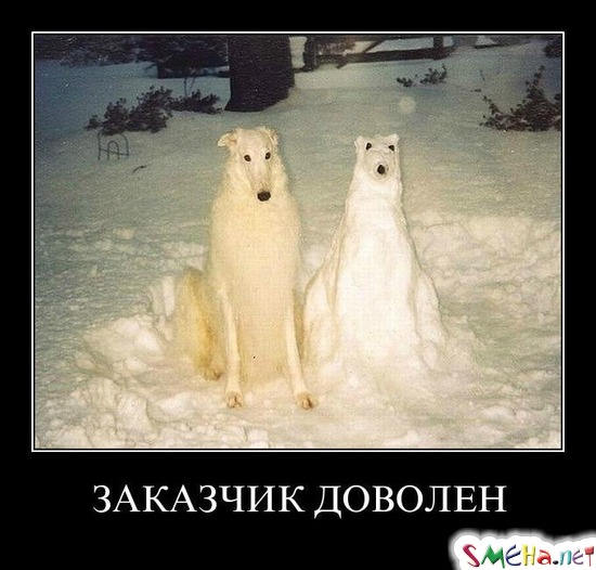 ЗАКАЗЧИК ДОВОЛЕН